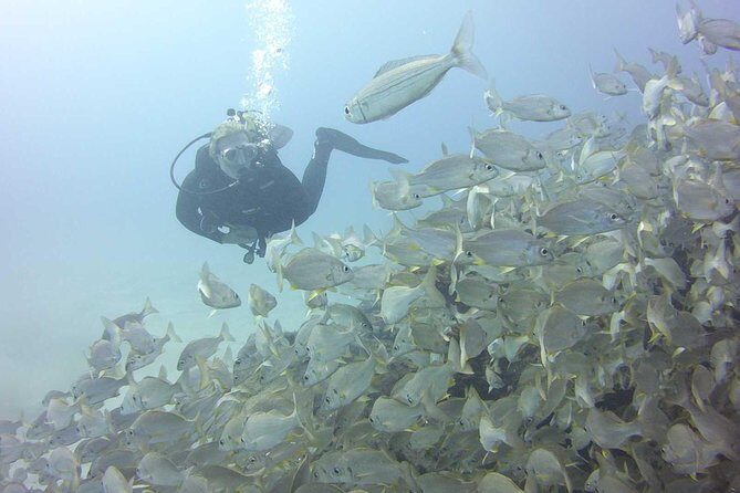 2x diving package, on request including refreshment - Two tank sessions near Costa Adeje for one paid day