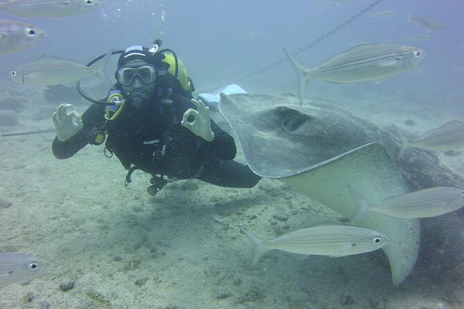 2x diving package, on request including refreshment - The real itinerary rhythm: planning, two sessions, and a focused break