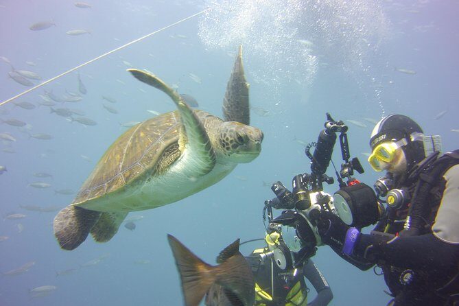 2x diving package, on request including refreshment - What you should bring so the day stays easy