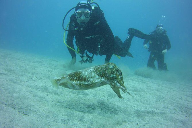 2x diving package, on request including refreshment - How deep you’ll go (and why they match it to your experience)