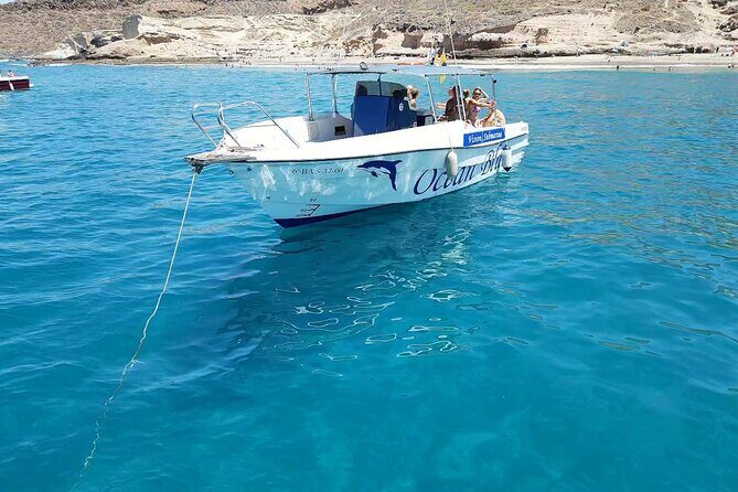 3-hour excursion to Puerto Colón Adeje to see whales - Sailing Out of Costa Adeje: 30 Minutes Toward Gomera