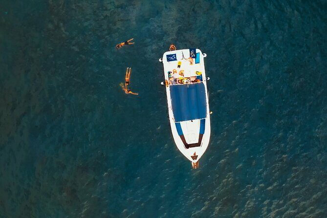 3-hour excursion to Puerto Colón Adeje to see whales - Finding Pilot Whales and Dolphins (Without the Chaos)