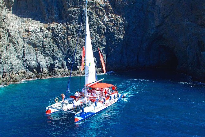 3-hour Whale and Dolphin Watching and Listening Tour - Quick Hits Before You Go