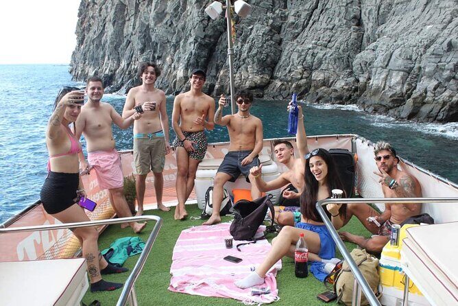 3-Hours Private Tour to Accessible Boat en Canary Island - What You Can Hope to See: Dolphins, Giant Tortoises, and a Cetacean Reserve
