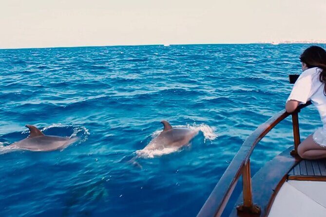 3-Hours Private Tour to Accessible Boat en Canary Island - Should You Book BAT4ALL for Your Tenerife Trip?