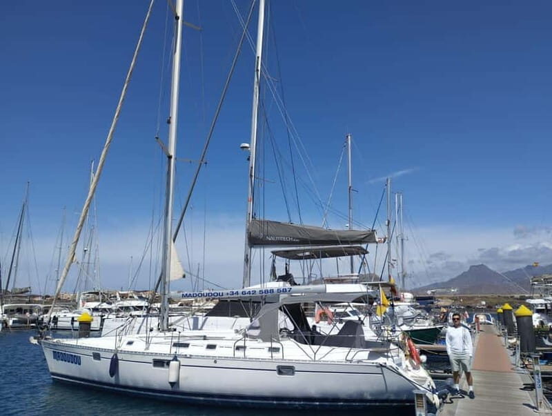 3h Whale Watching Share Tour Beneteau Oceanis 440 - Food, Drinks, and the Brunch-Snorkel Pairing
