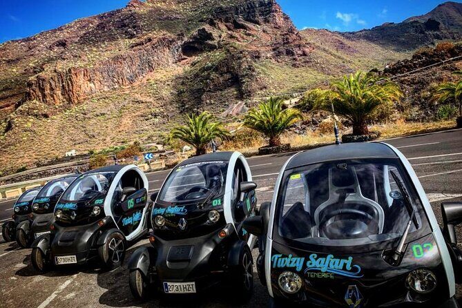 4 Hours Eco Safari Tour with Electric Car in Tenerife - Why a 4-Hour Electric Twizy Eco Safari Feels Right in Tenerife