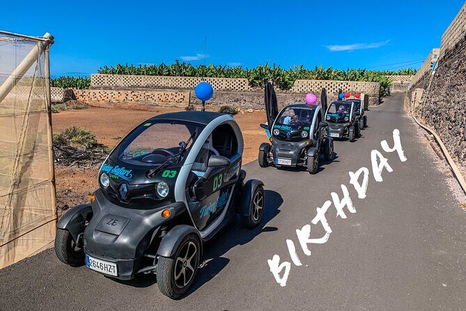 4 Hours Eco Safari Tour with Electric Car in Tenerife - Stop 3: Chio Gourmet Kitchen Tasting of Jams, Mojo, and More