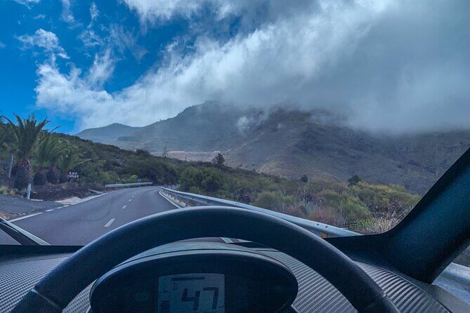 4 Hours Eco Safari Tour with Electric Car in Tenerife - Stop 4: Puerto de Santiago Banana Plantation Walk and Cultivation Lessons