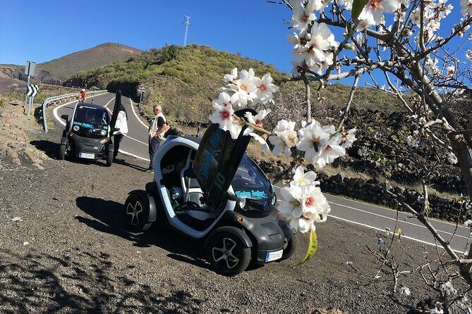 4 Hours Eco Safari Tour with Electric Car in Tenerife - Small Group Numbers (Max 10) and Why They Matter