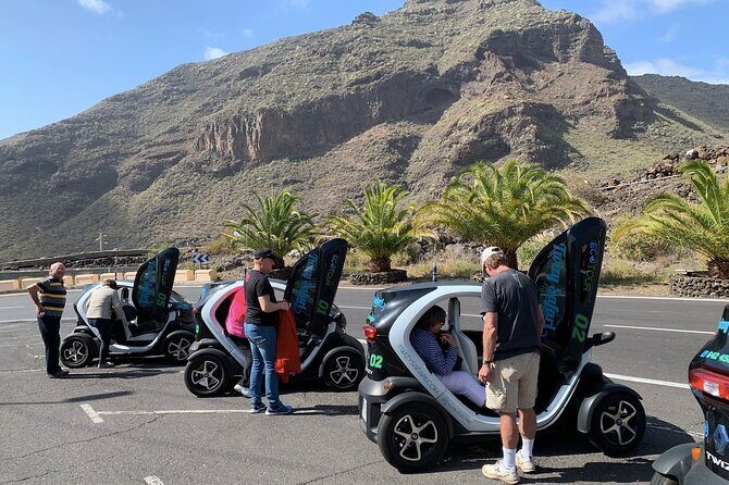 4 Hours Eco Safari Tour with Electric Car in Tenerife - Driving the Electric Twizy: Controls, Range, and the Fun Factor