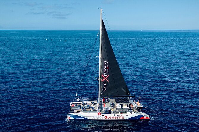 5 hr watching and listening whales and dolps. Visit Los Gigantes - How the crew level can make or break a wildlife day