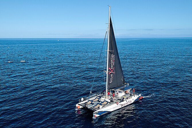 5 hr watching and listening whales and dolps. Visit Los Gigantes - Where to meet and how the day is paced