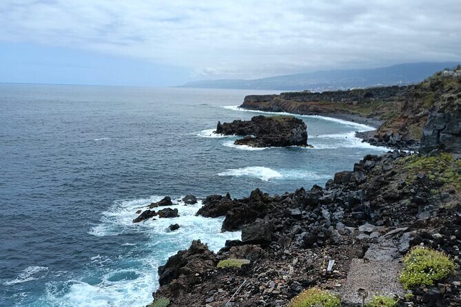 6hrs Private Tour in North Coast of Tenerife - First stop: Mesa del Mar and Playa La Arena de Tacoronte’s black sand