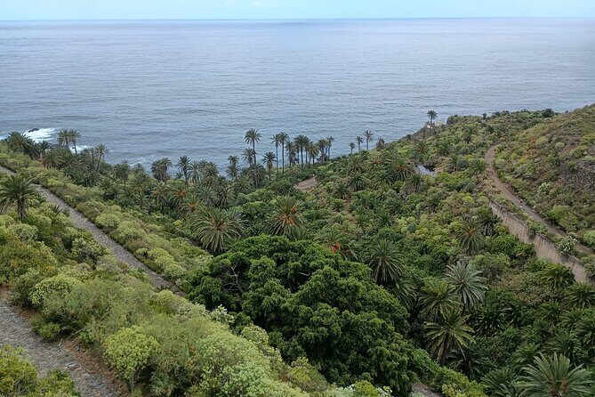 6hrs Private Tour in North Coast of Tenerife - Playa del Socorro in Los Realejos: volcano sand and big north-coast views