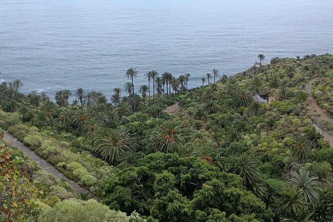 6hrs Private Tour in North Coast of Tenerife - San Juan de la Rambla: historic center charm beside the natural pool of La Laja