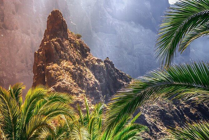 8-Hour Rental in a Luxury Car and Driver/Official Private Guide in Tenerife - A Day Managed by Your Language and Your Pace