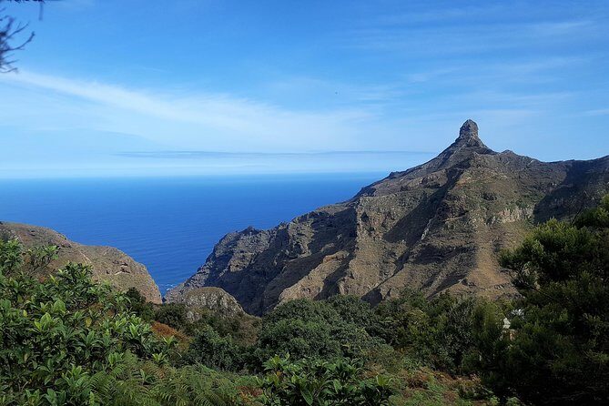 Amazing Anaga - Laurisilva in the Canaries: the forest you came for