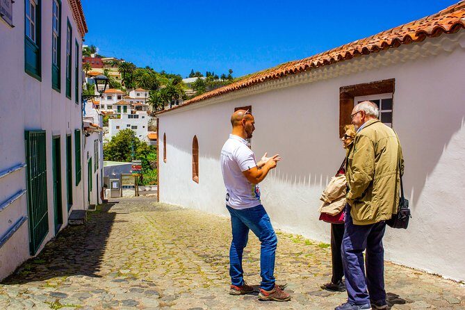 Anaga Private Tour: Valleys of Nature and Tradition - Entering Anaga’s UNESCO forest: Laurisilva and trade-wind air