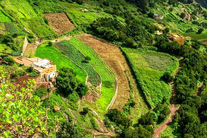 Anaga Private Tour: Valleys of Nature and Tradition - Stop 2: Taganana’s traditional village vibe and the black-sand coast
