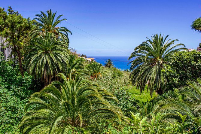 Anaga Private Tour: Valleys of Nature and Tradition - The guide makes the difference: Jaime’s style and why it shows