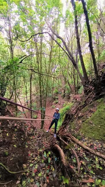 Barranquismo Tenerife: Canyoning Adventure - What’s Included: Guide, Gear, Picnic, and Water
