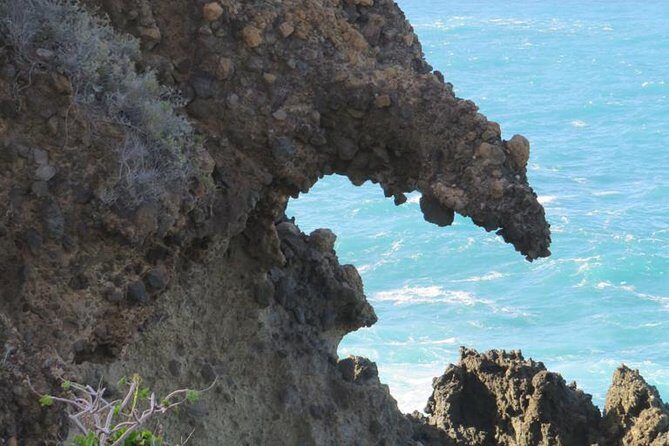 Boat Excursion to visit underwater lava tongues - How snorkeling-style viewing works for first-timers