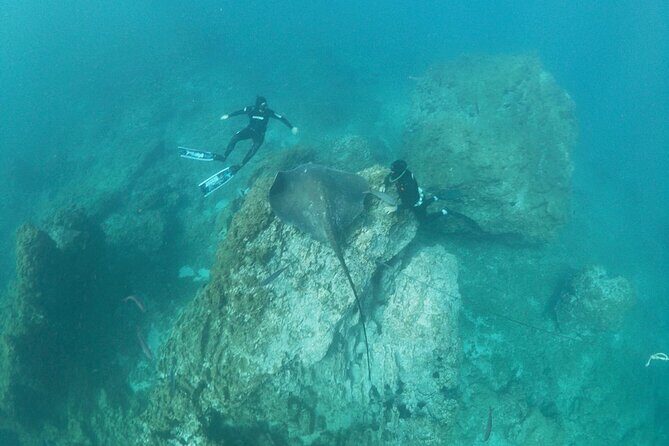 Boat Excursion to visit underwater lava tongues - Booking timeline and what to do if weather turns