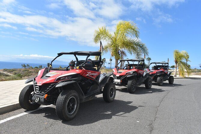 Buggy tour to Teide in Tenerife - Guides Matter: Alex, Mario, Javier, and Plamen