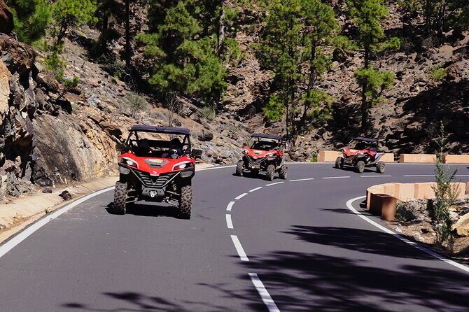Buggy tour to Teide in Tenerife - Meeting in Santa Cruz: Getting to Calle Plasencia Without Stress
