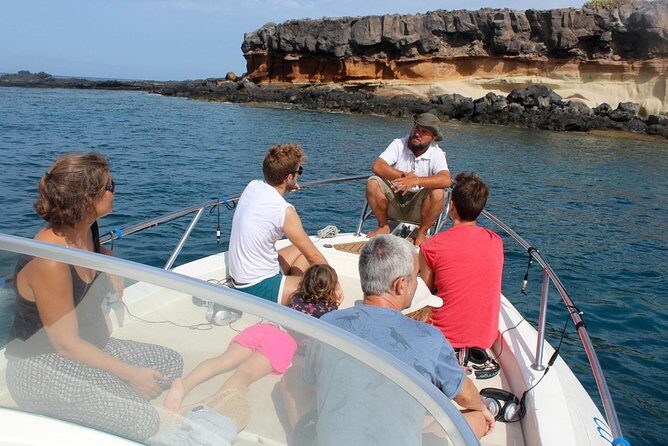 Costa Adeje | Cetacean sighting in Tenerife South - Key points to know before you go