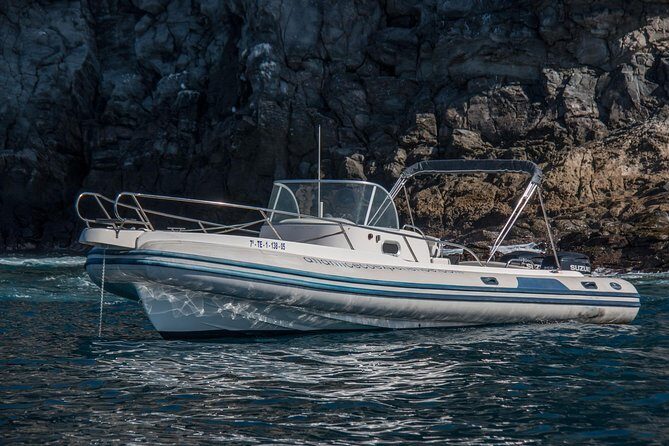Costa Adeje | Cetacean sighting in Tenerife South - What to bring for a 2.5-hour outing in Tenerife sun