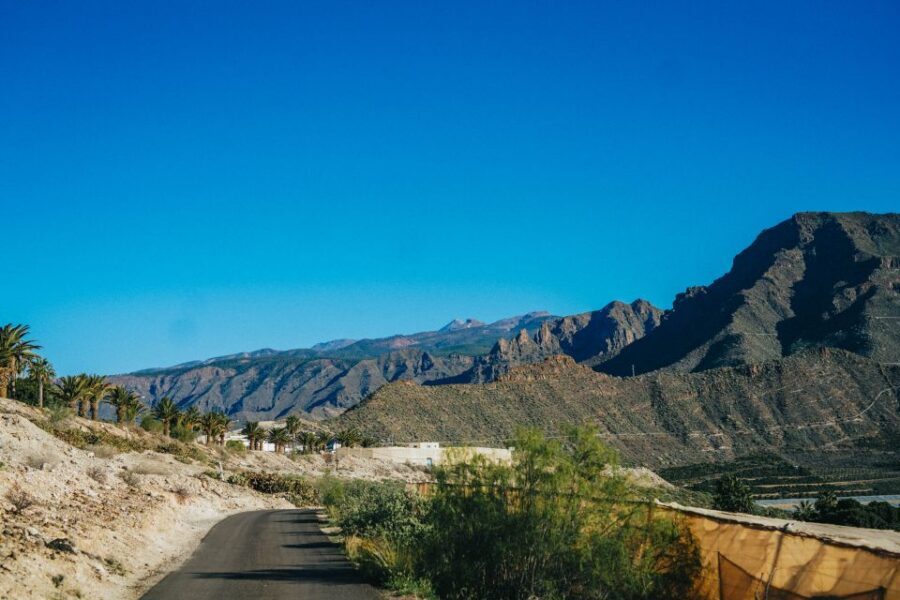 Costa Adeje: Double Tuk Tuk Tour - Price, comfort, and group size: is $45 for two hours fair value?
