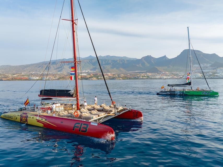 Costa Adeje: Masca and Los Gigantes Whale Watching Cruise - Getting to Puerto Colón: where your catamaran day really starts