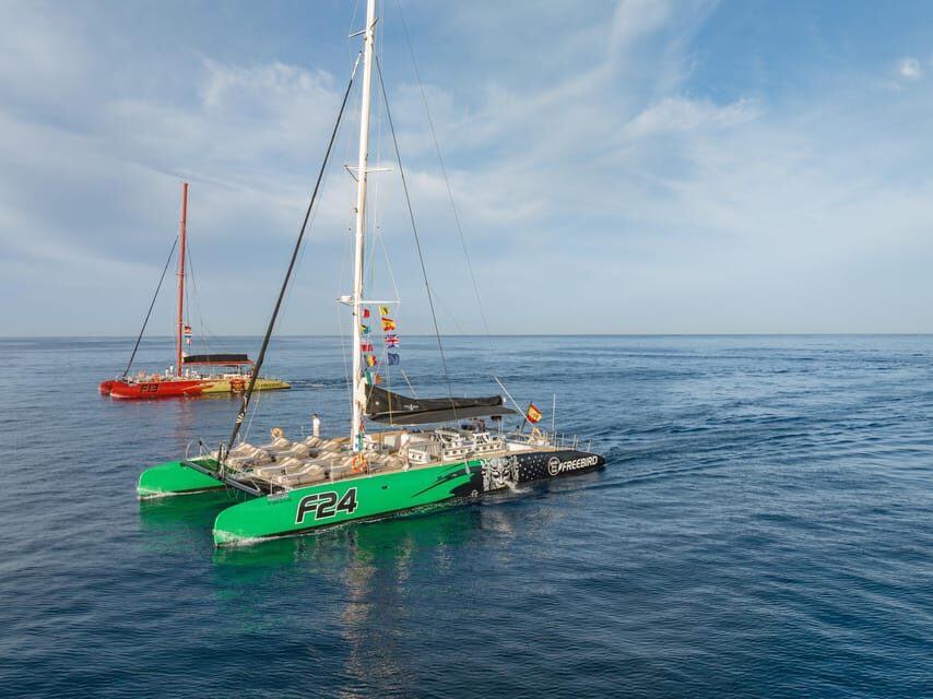Costa Adeje: Masca and Los Gigantes Whale Watching Cruise - What the 4.5 hours feel like: timing, sailing rhythm, and guide talk