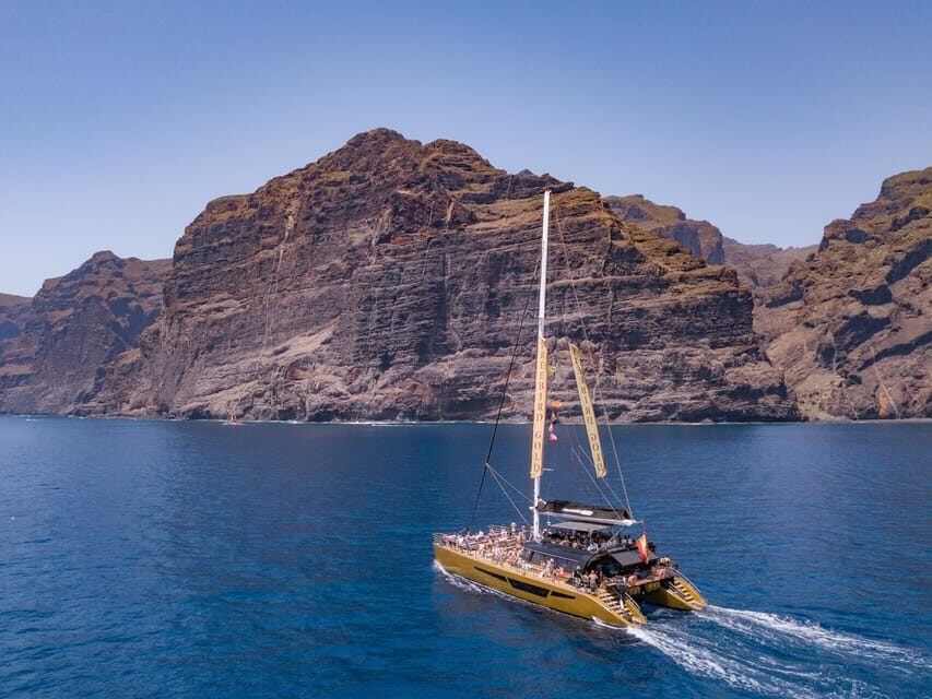 Costa Adeje: Masca and Los Gigantes Whale Watching Cruise - Price and value: why $71 feels fair for a half-day at sea