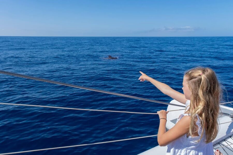 Costa Adeje: Masca and Los Gigantes Whale Watching Cruise - Who this cruise suits best (and who should adjust expectations)