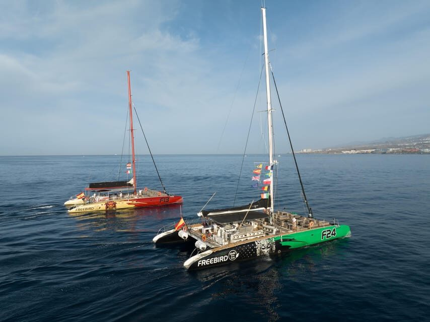 Costa Adeje: Masca and Los Gigantes Whale Watching Cruise - Sailing the Tenerife–La Gomera channel for pilot whales and dolphins