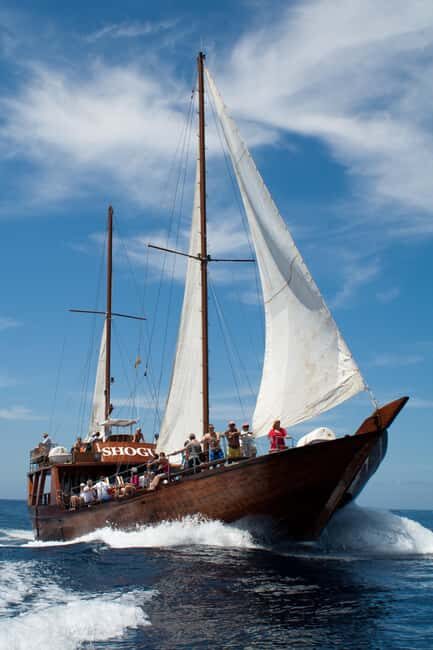 Costa Adeje: Respectful Whale-Watching Sailboat Tour & swim - A Teak Shogun Boat Makes the Whole Trip Feel Like “Old Sea Days”
