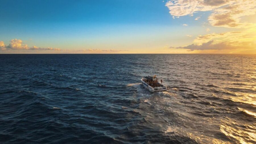 Costa Adeje: Whale and Dolphin-Watching Boat Excursion - Key highlights I’d circle on your plan