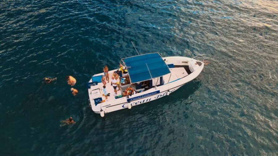 Costa Adeje: Whale and Dolphin-Watching Boat Excursion - Wildlife etiquette on deck: engine discipline matters