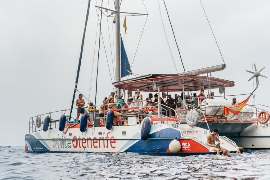 Costa Adeje: Whale & Dolphin Eco-Cruise with Snacks & Drinks - Key things that make this cruise click
