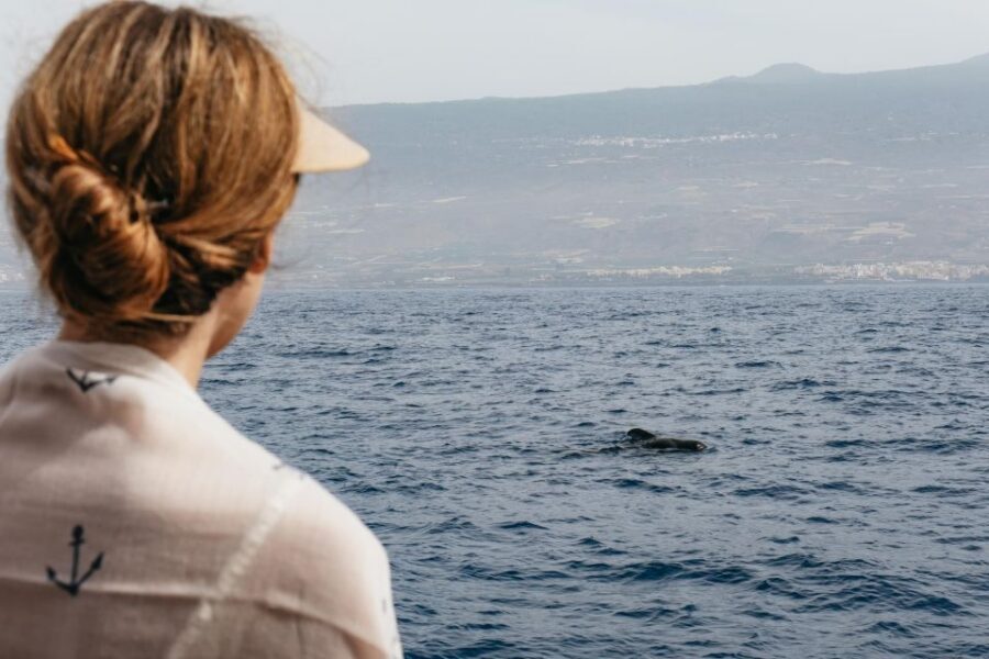 Costa Adeje: Whale & Dolphin Eco-Cruise with Snacks & Drinks - Costa Adeje on a catamaran: why this eco-cruise feels different