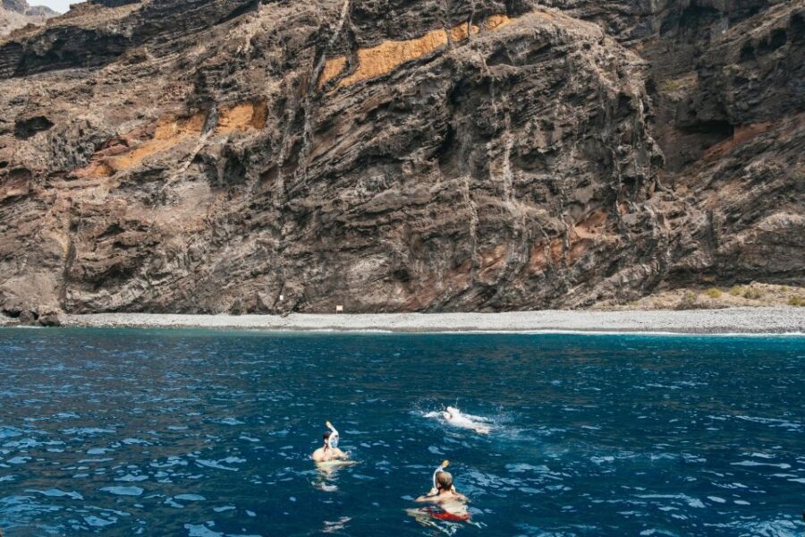 Costa Adeje: Whale & Dolphin Eco-Cruise with Snacks & Drinks - Sailing toward Teno-Rasca: what you’re actually watching for