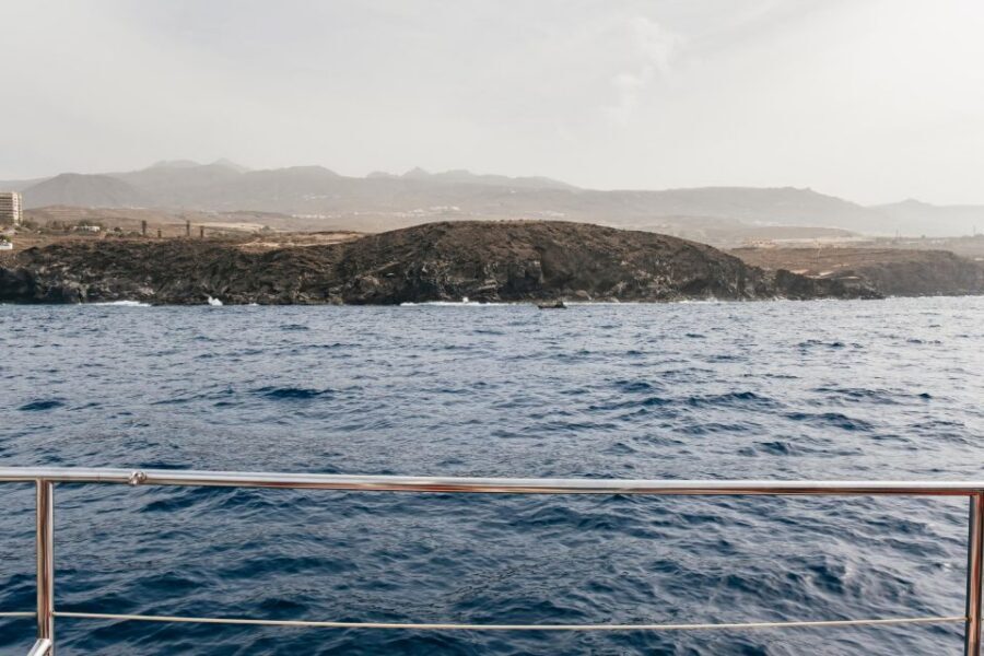 Costa Adeje: Whale & Dolphin Eco-Cruise with Snacks & Drinks - Wildlife viewing etiquette: what “eco-friendly” means here