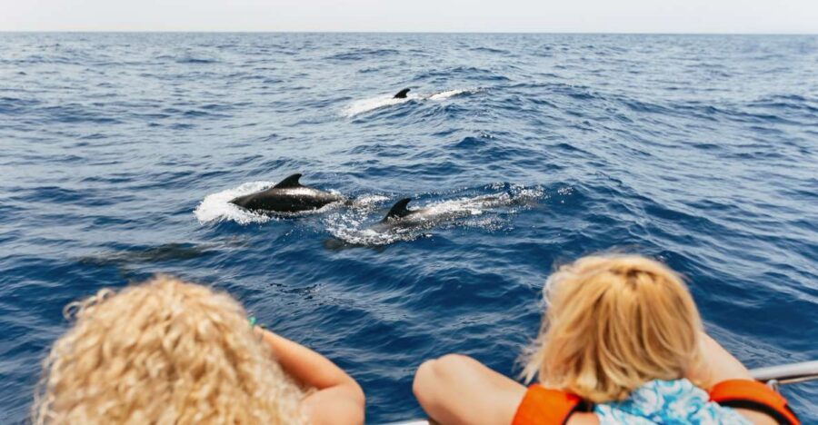 Costa Adeje: Whale Watching Catamaran Tour with Drinks - Key things you’ll notice on board
