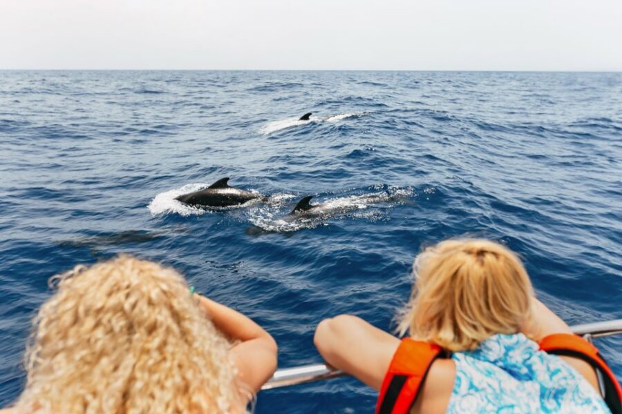 Costa Adeje: Whale Watching Catamaran Tour with Drinks - Setting out from Puerto Colón: your first clues to what you’ll see