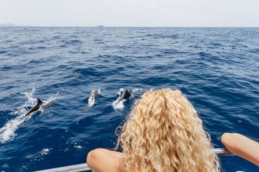 Costa Adeje: Whale Watching Catamaran Tour with Drinks - How the crew keeps it respectful (and why you should care)