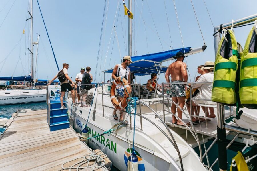 Costa Adeje: Whale Watching Catamaran Tour with Drinks - What you’re actually looking for: pilot whales, dolphins, and squid