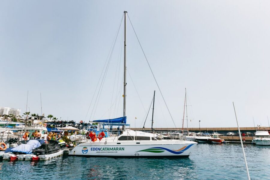Costa Adeje: Whale Watching Catamaran Tour with Drinks - The snorkeling stop in Playa Espagueti: when to plan for rough water